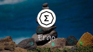 ارگو (ERG)