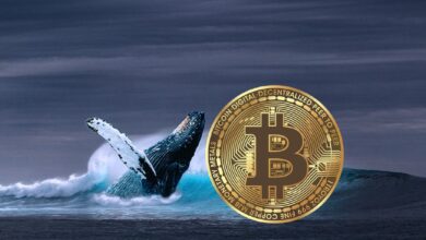 افزایش ۳میلیارد دلاری موجودی نهنگ‌های بیت کوین در ماه ژانویه