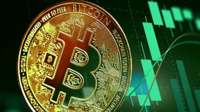 بررسی عوامل مؤثر بر افزایش قیمت بیت کوین