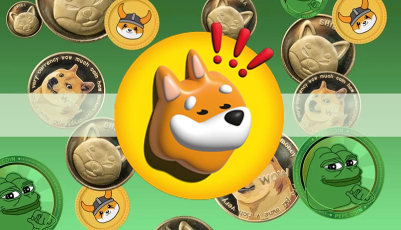 ریسکهای سرمایهگذاری در میم کوین