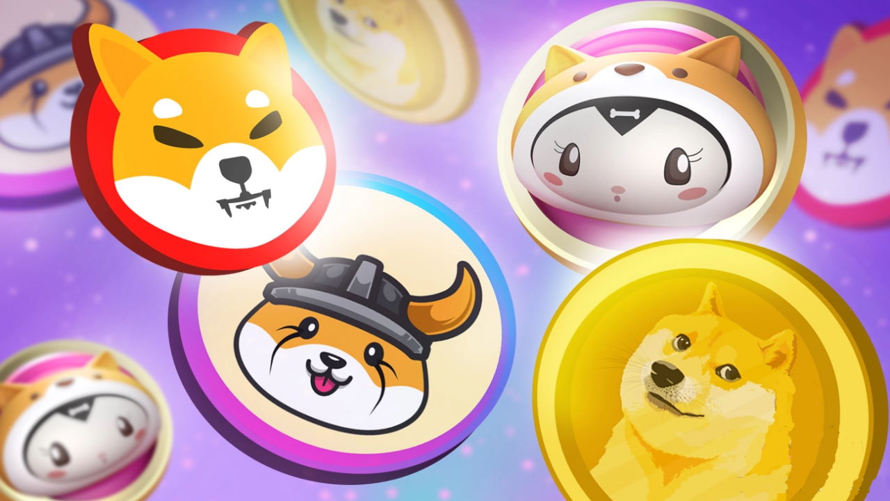 کاربردهای میم کوینها