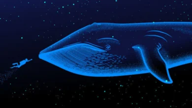 دو نهنگ بزرگ ارز دیجیتال، نزدیک به ۶ میلیون دلار آربیتروم را به بایننس فروختند