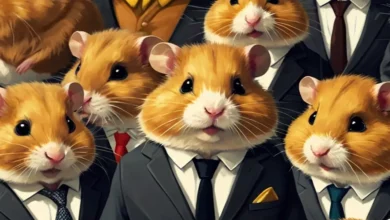 قیمت همستر کامبت در بازار پیش از عرضه