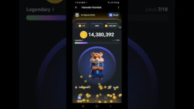 کد مورس همستر کامبت چیست و چگونه از آن استفاده کنیم؟