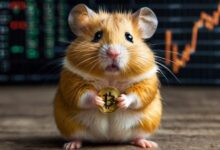 کارت‌های امروز همستر کامبت ۴ تیر + راهنمای استفاده