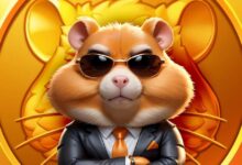 پرافیت و سکه در همستر کامبت چیست و کدام مهم‌تر است؟