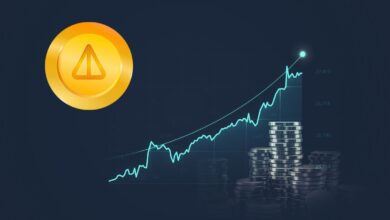 افزایش چشمگیر قیمت نات کوین در ۲۴ ساعت گذشته؛ آیا رکوردهای جدید در انتظار NOT است؟
