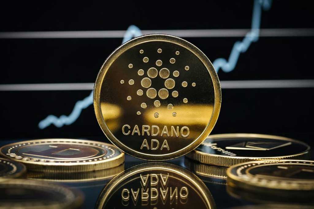 تحلیل تاریخچه قیمت کاردانو - گریدپدیا