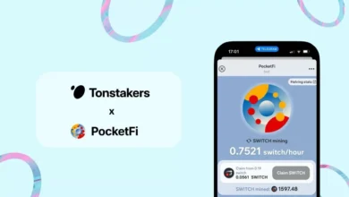 پاکت فای چیست؟ به همراه آموزش استخراج pocketfi