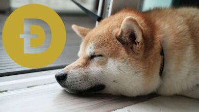 دوج کوین (Dogecoin) چیست؟ آشنایی با ارز دیجیتال DOGE