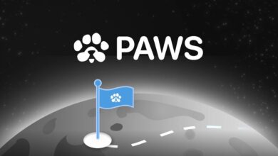 ایردراپ PAWS چیست؟ آموزش پاوز